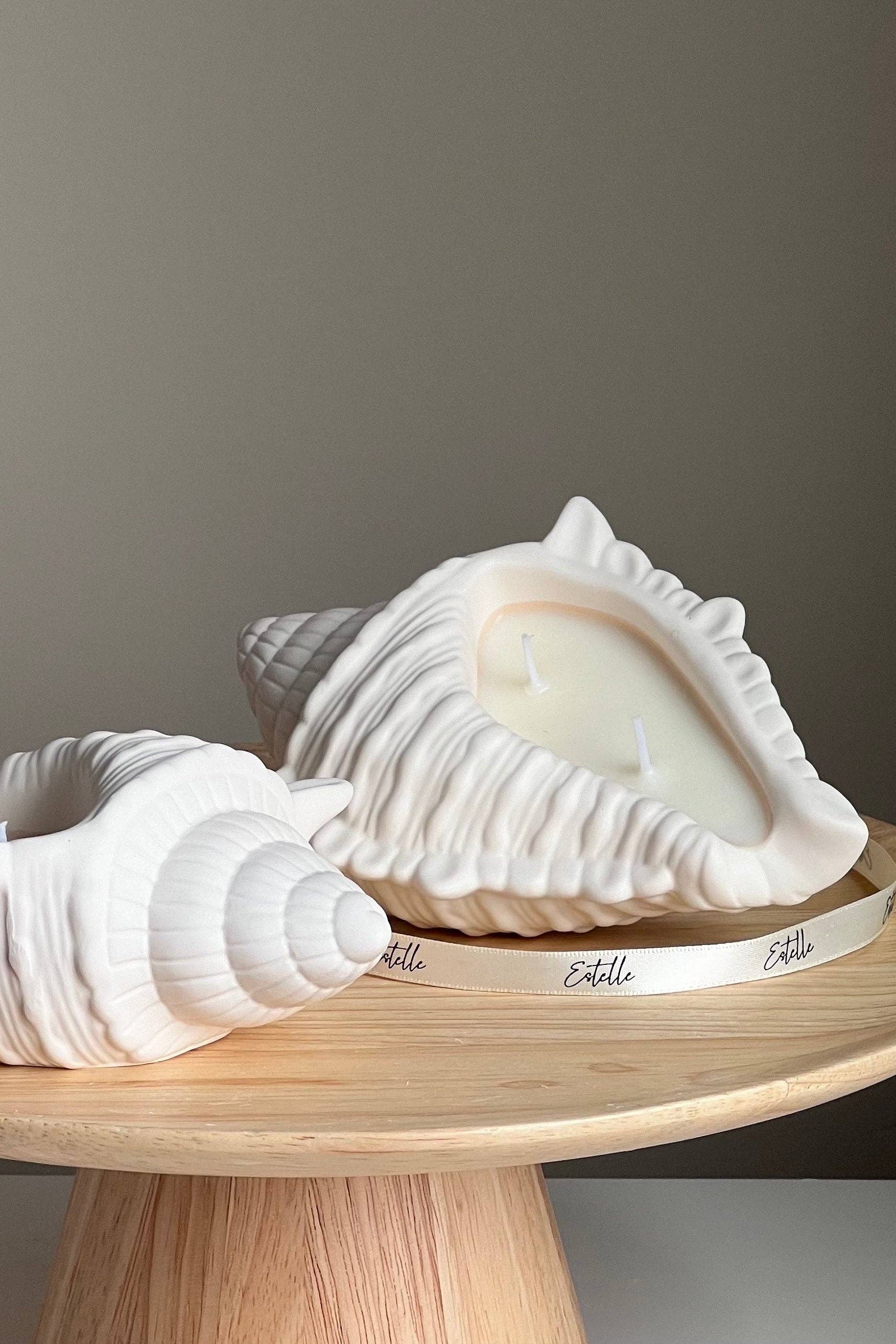 CONCH SHELL CANDLE-COCONUT & LIME