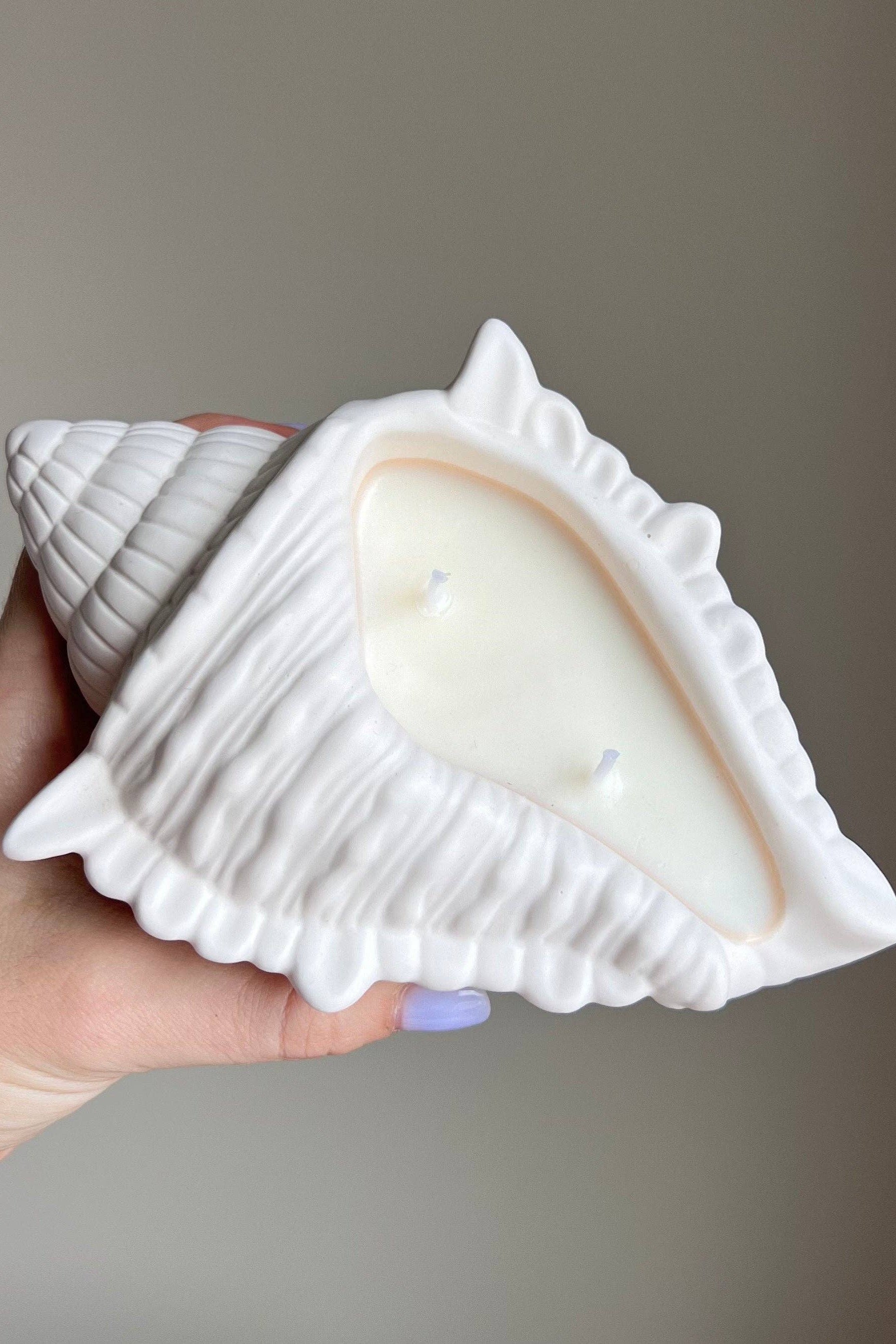 CONCH SHELL CANDLE-COCONUT & LIME