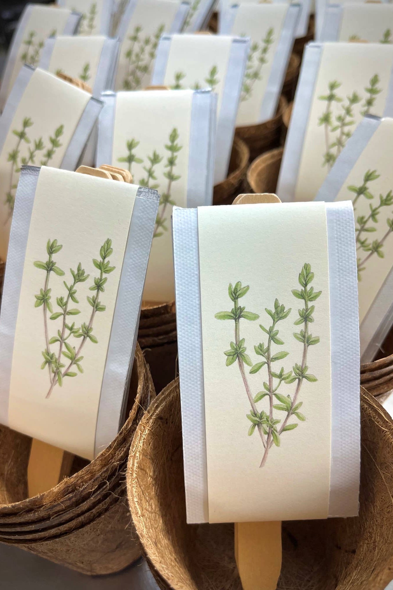 CULINARY HERB GARDEN BOX