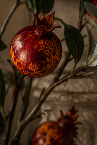 SPECKLED POMEGRANATE BRANCH