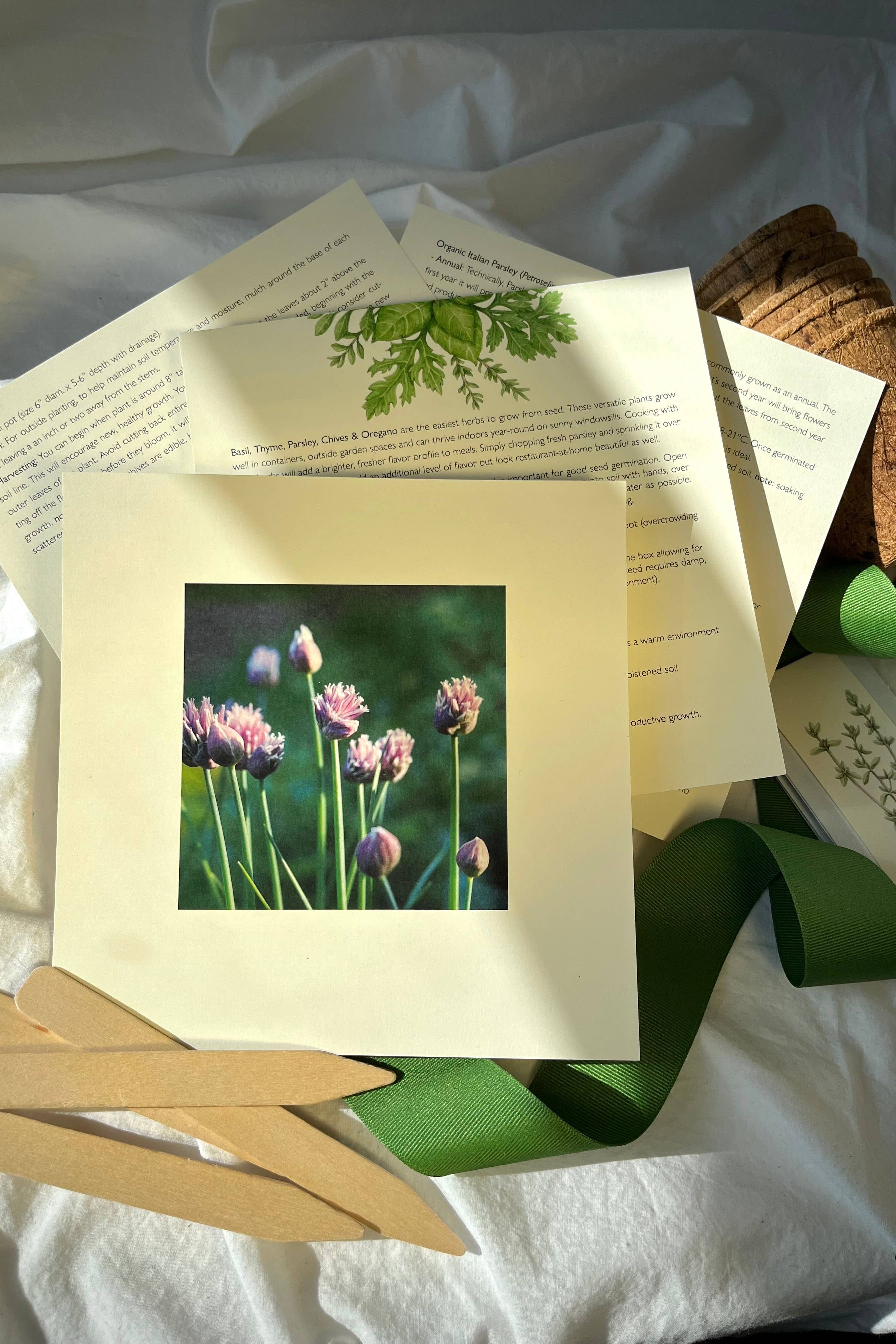 CULINARY HERB GARDEN BOX
