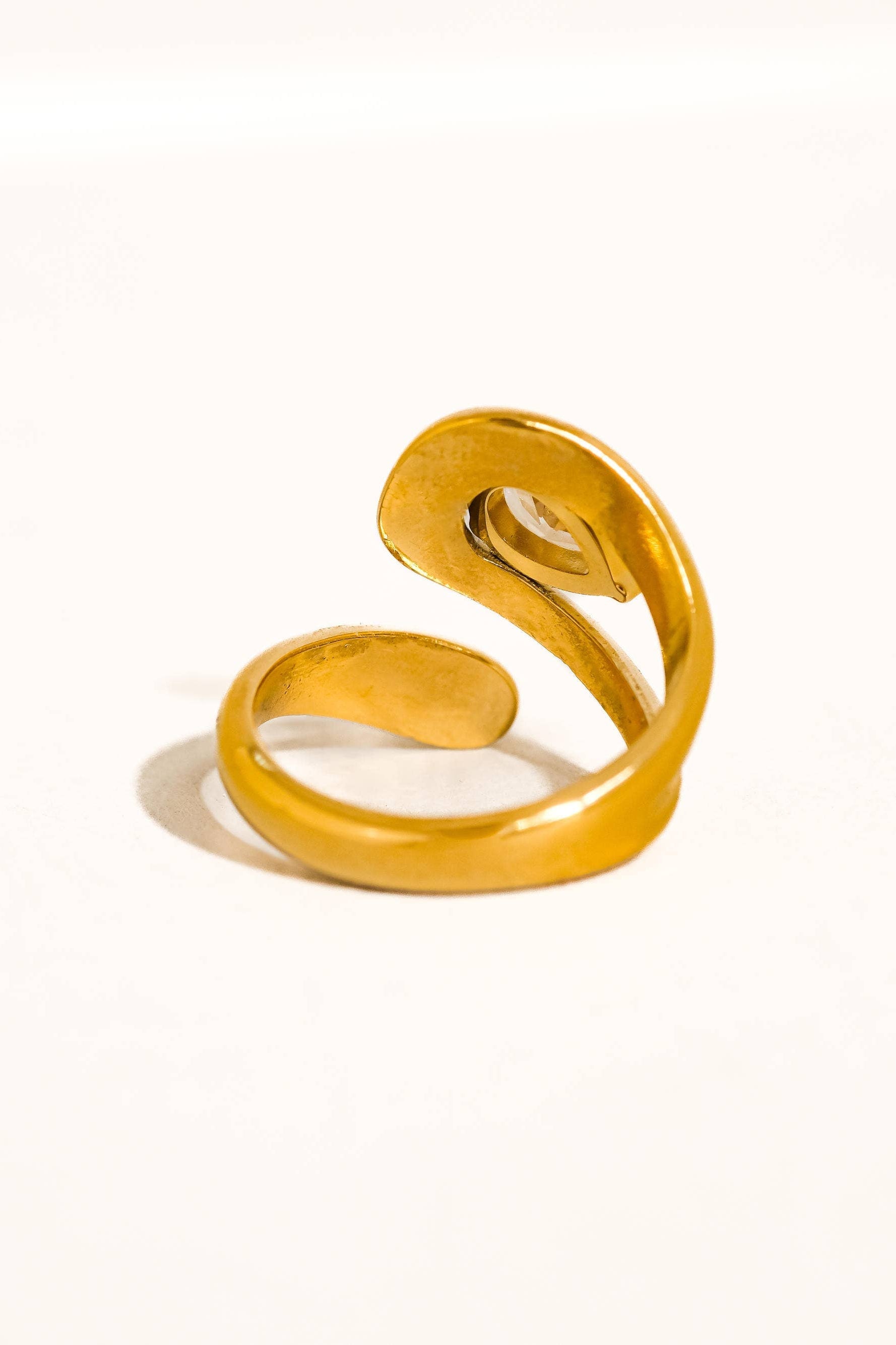 RONNIE RING
