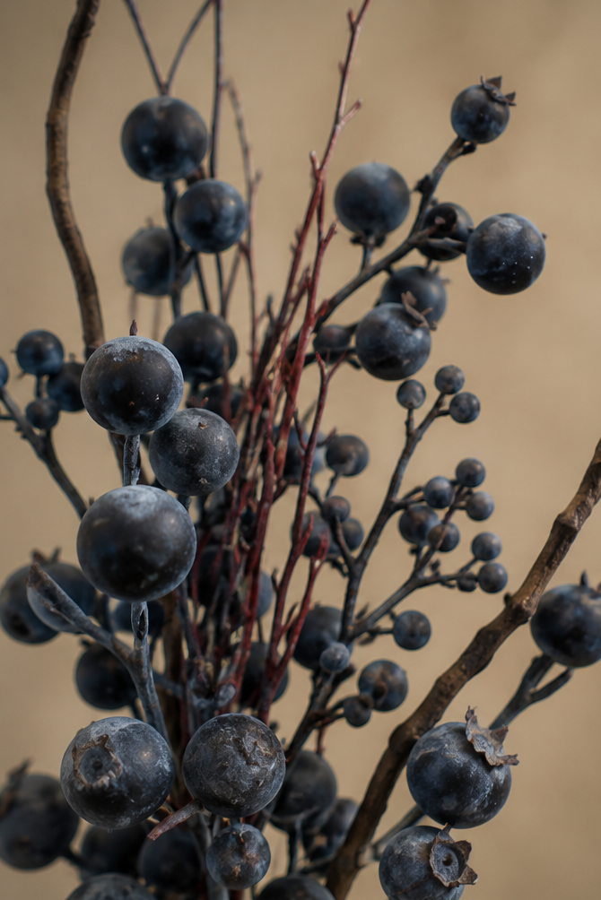 BLUEBERRY BRANCH