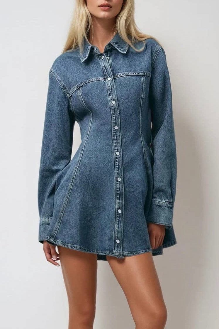 VALLEY MILLS DRESS