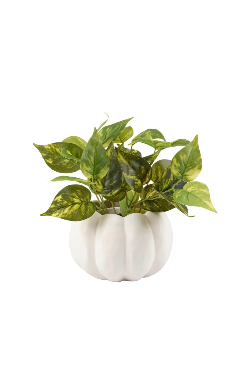 PUMPKIN POT - LARGE