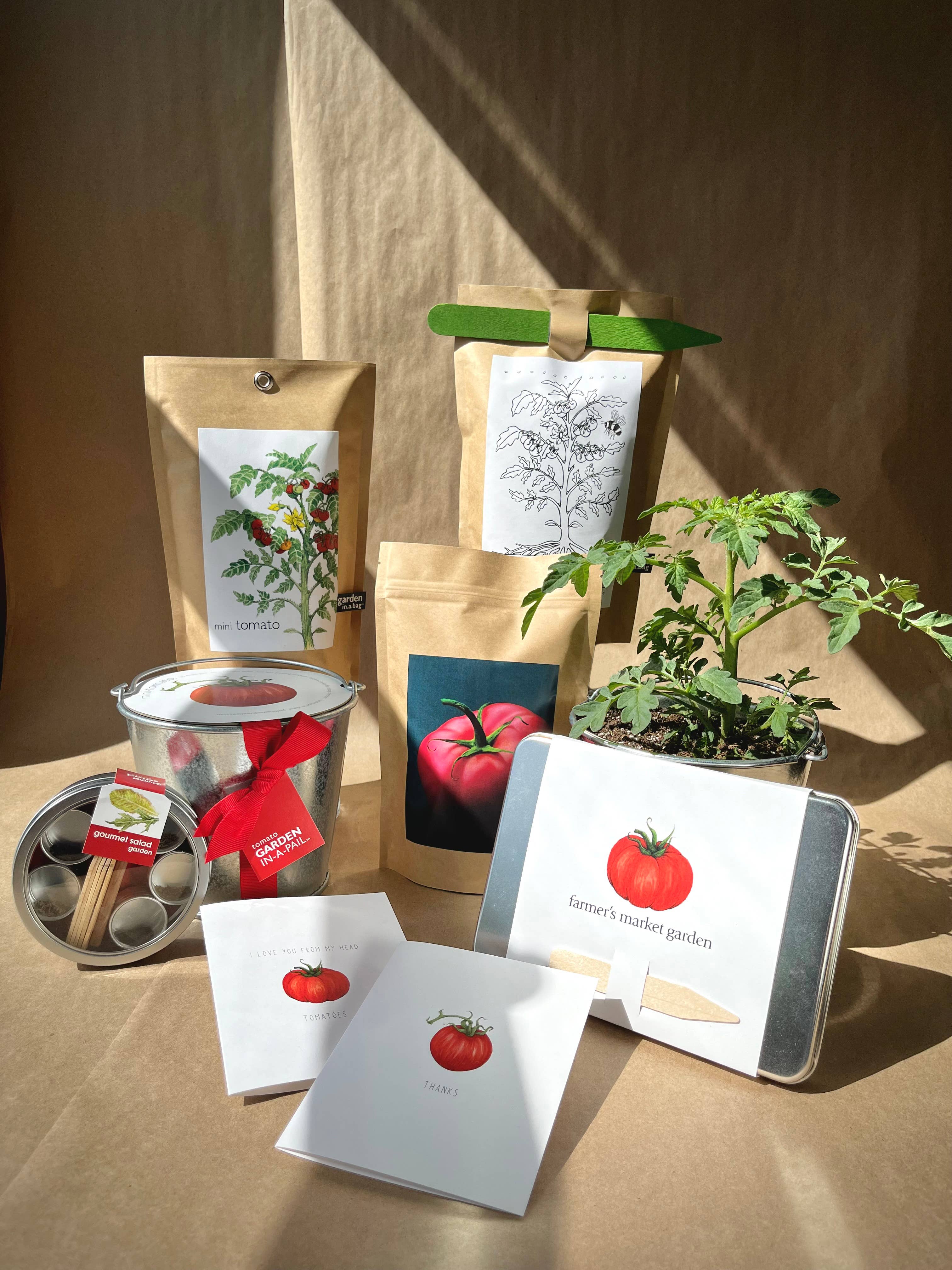 GARDEN IN A PAIL - TOMATO