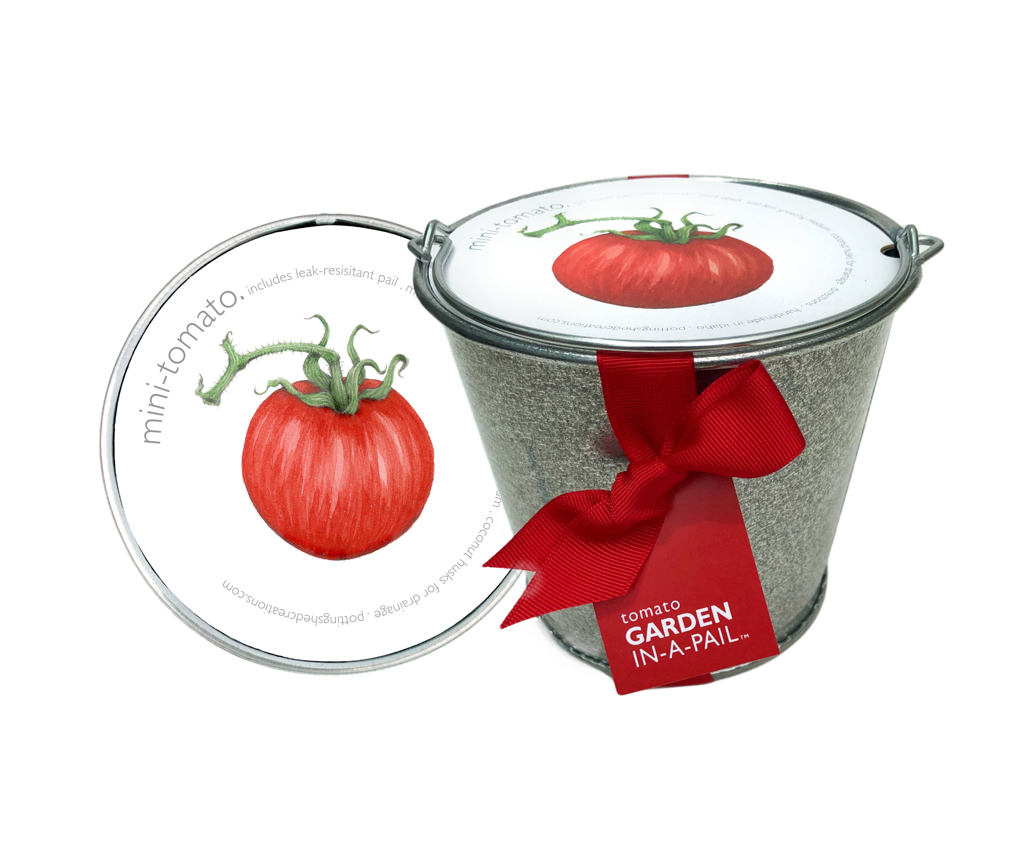 GARDEN IN A PAIL - TOMATO