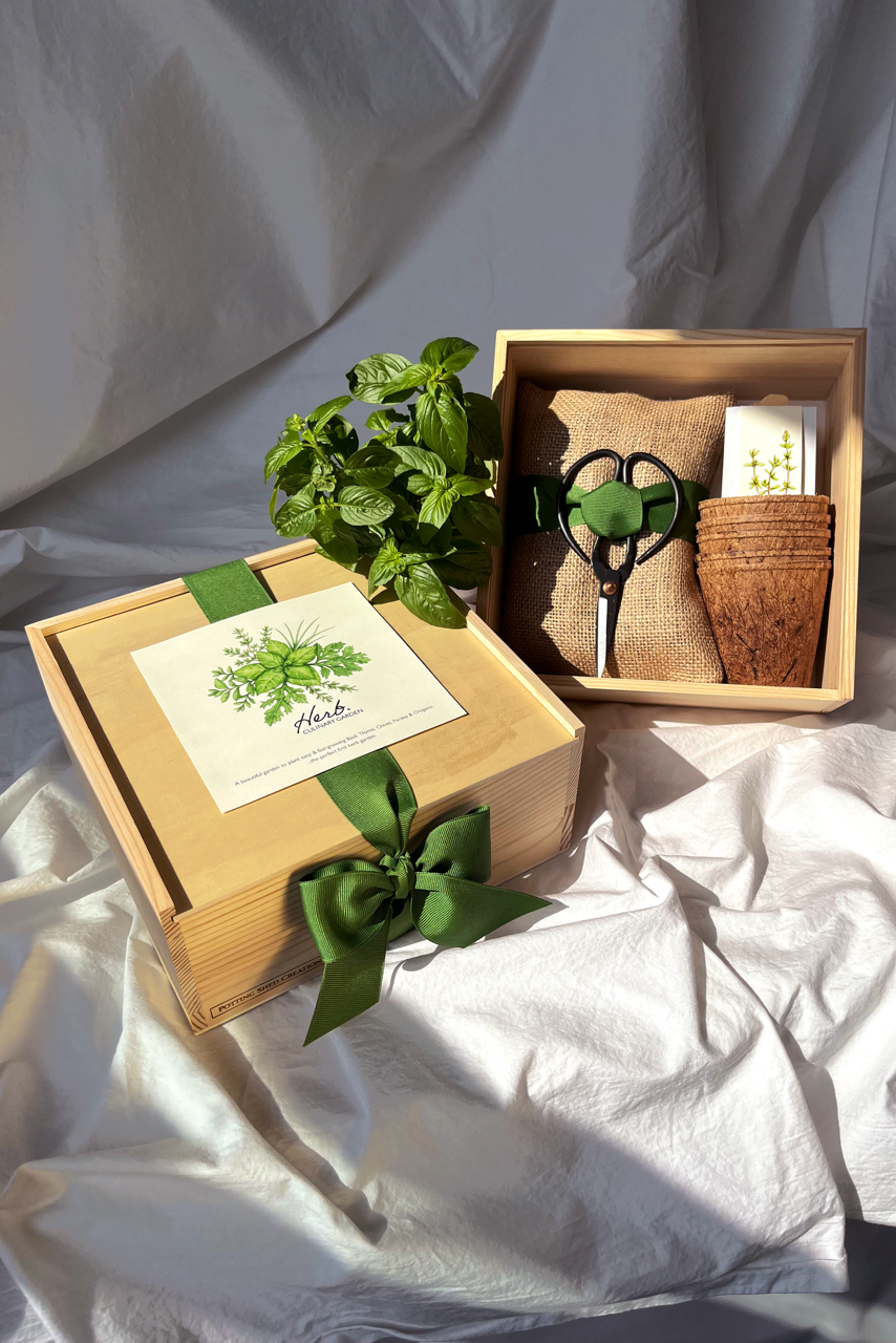 CULINARY HERB GARDEN BOX
