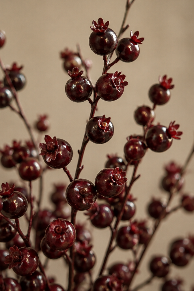 POMEGRANATE BERRY BRANCH