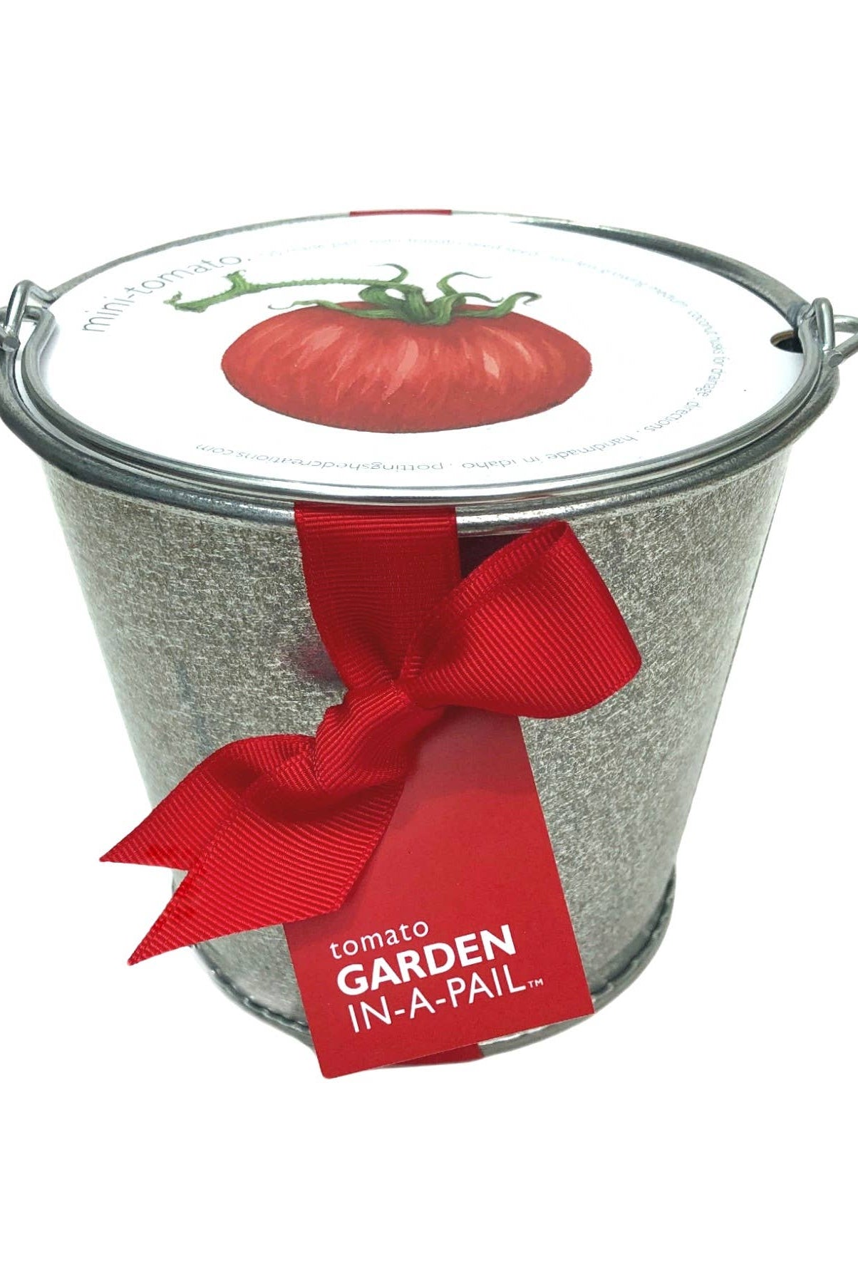 GARDEN IN A PAIL - TOMATO