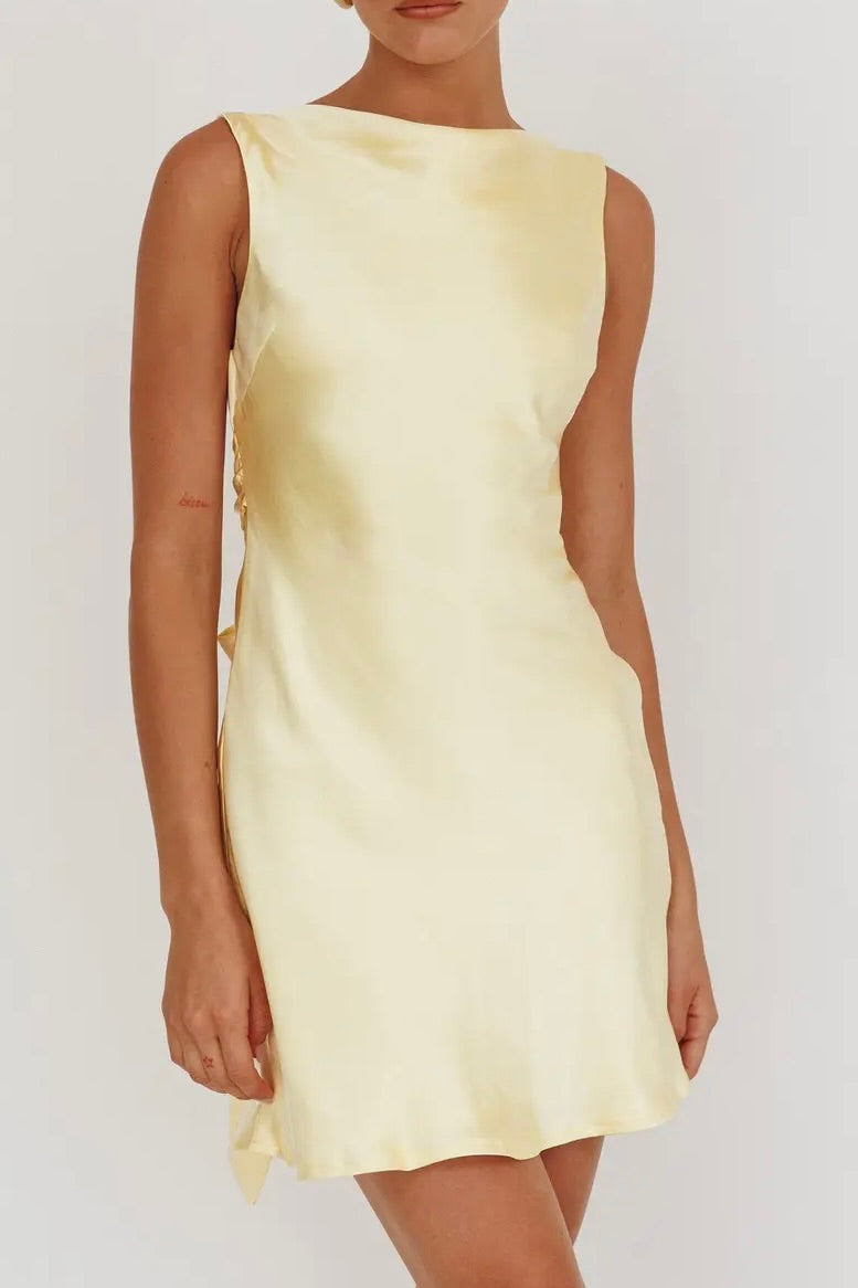 ALBANY DRESS