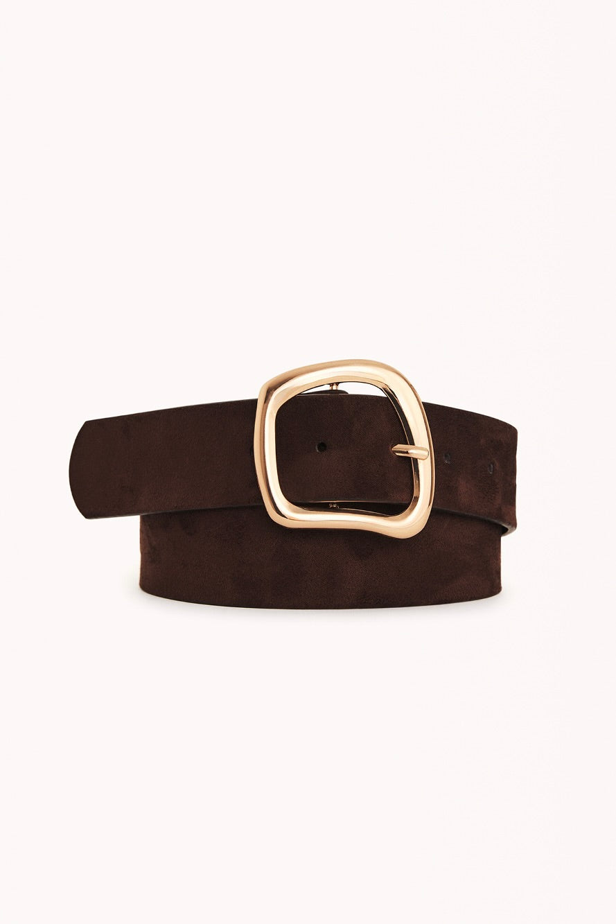 BILLINI - CARTER BELT - DARK CACAO SUEDE/GOLD