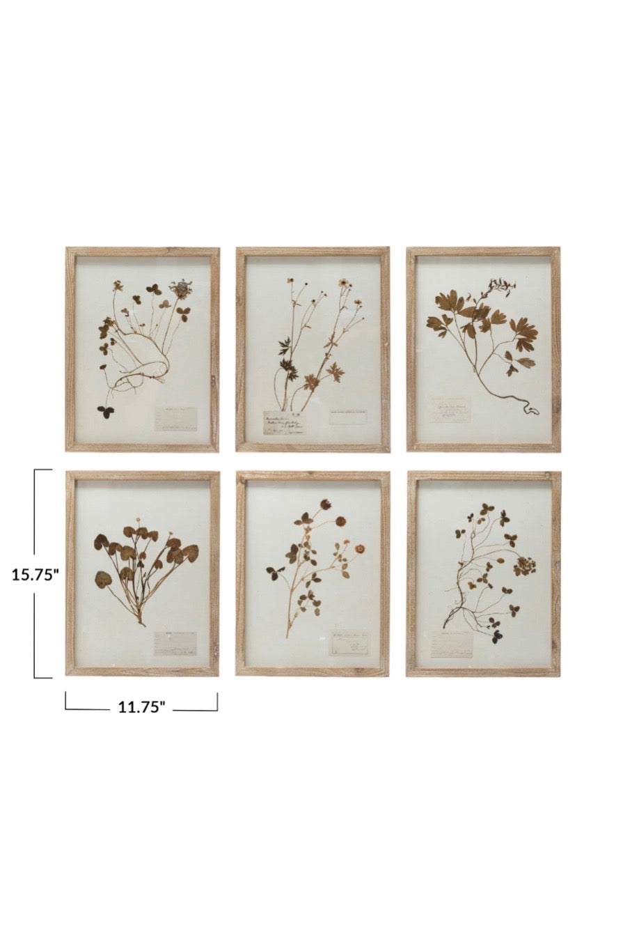 FRAMED BOTANICAL WALL DECOR