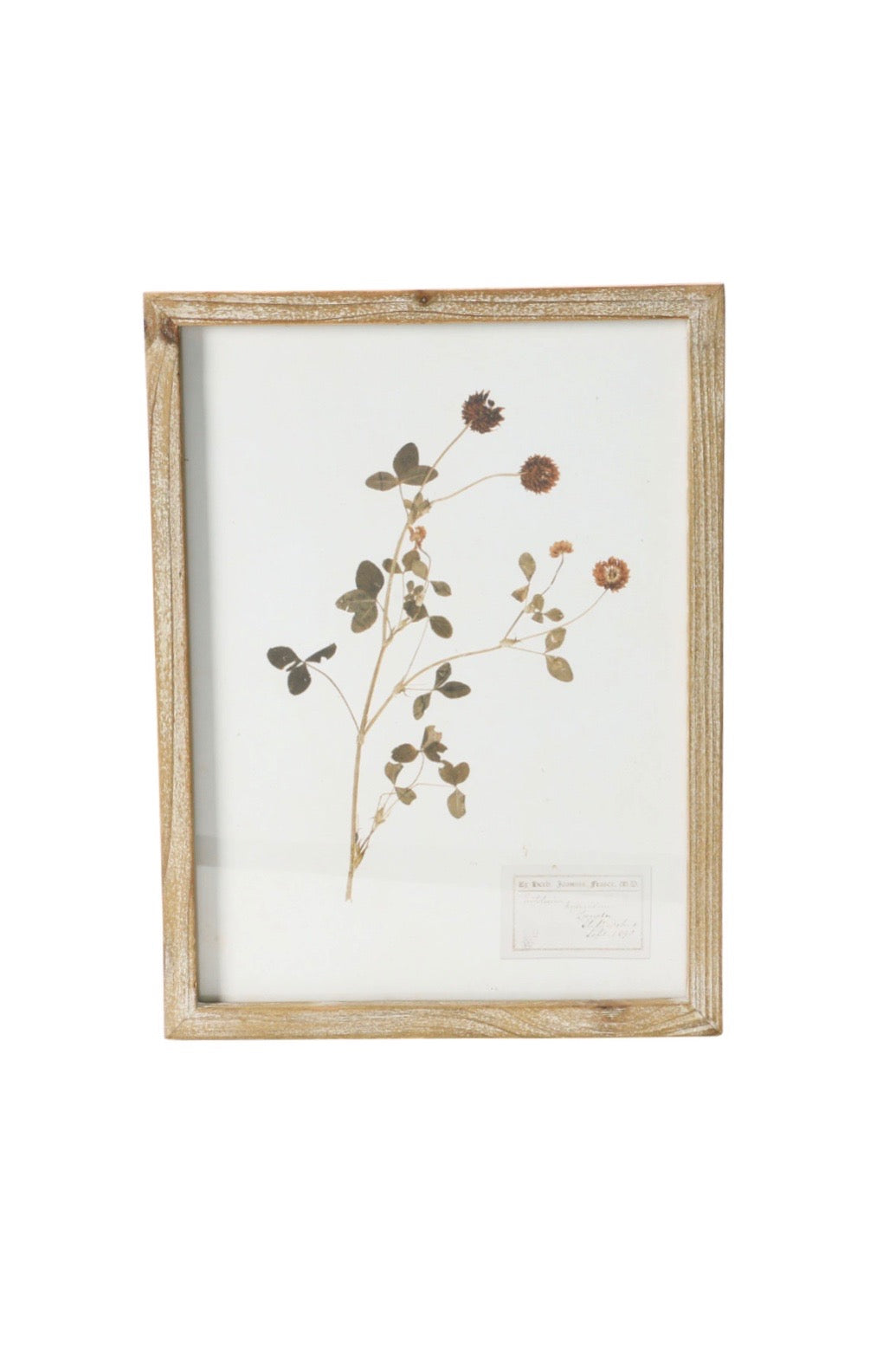 FRAMED BOTANICAL WALL DECOR