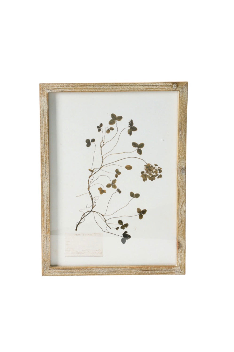 FRAMED BOTANICAL WALL DECOR
