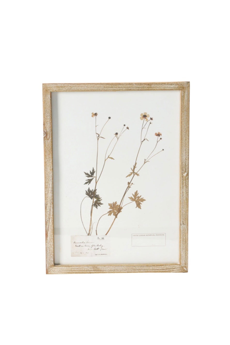 FRAMED BOTANICAL WALL DECOR