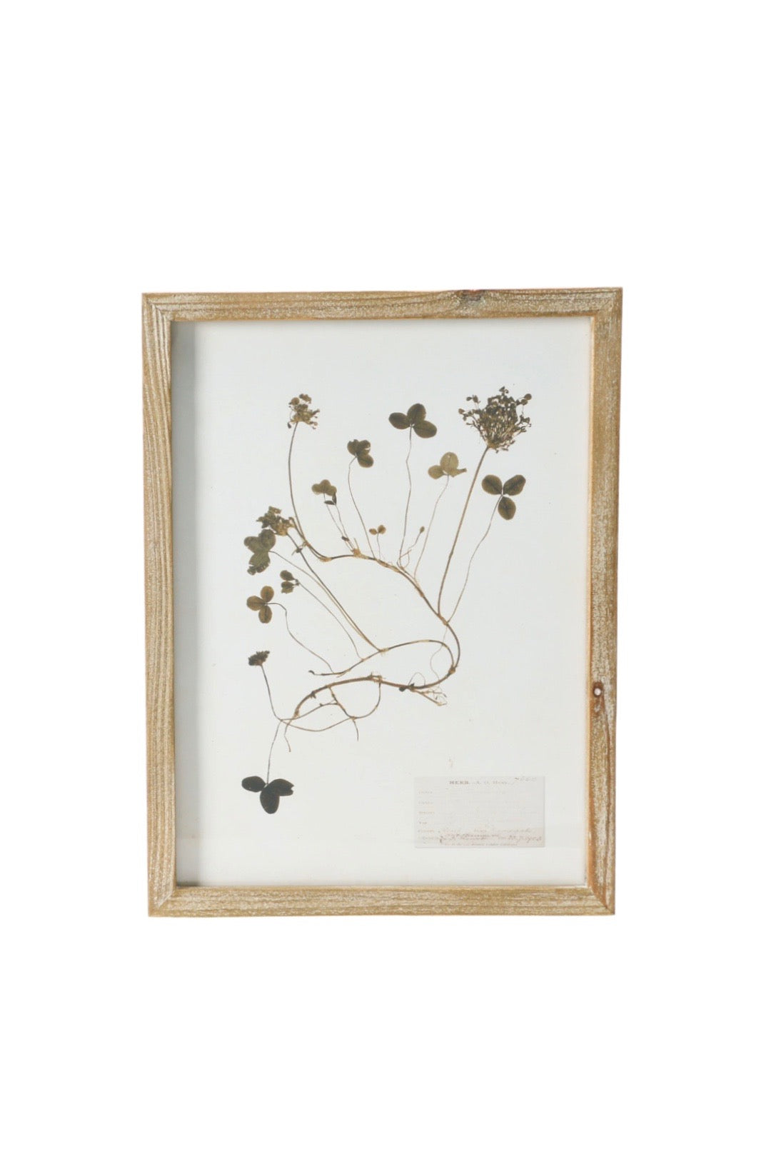 FRAMED BOTANICAL WALL DECOR