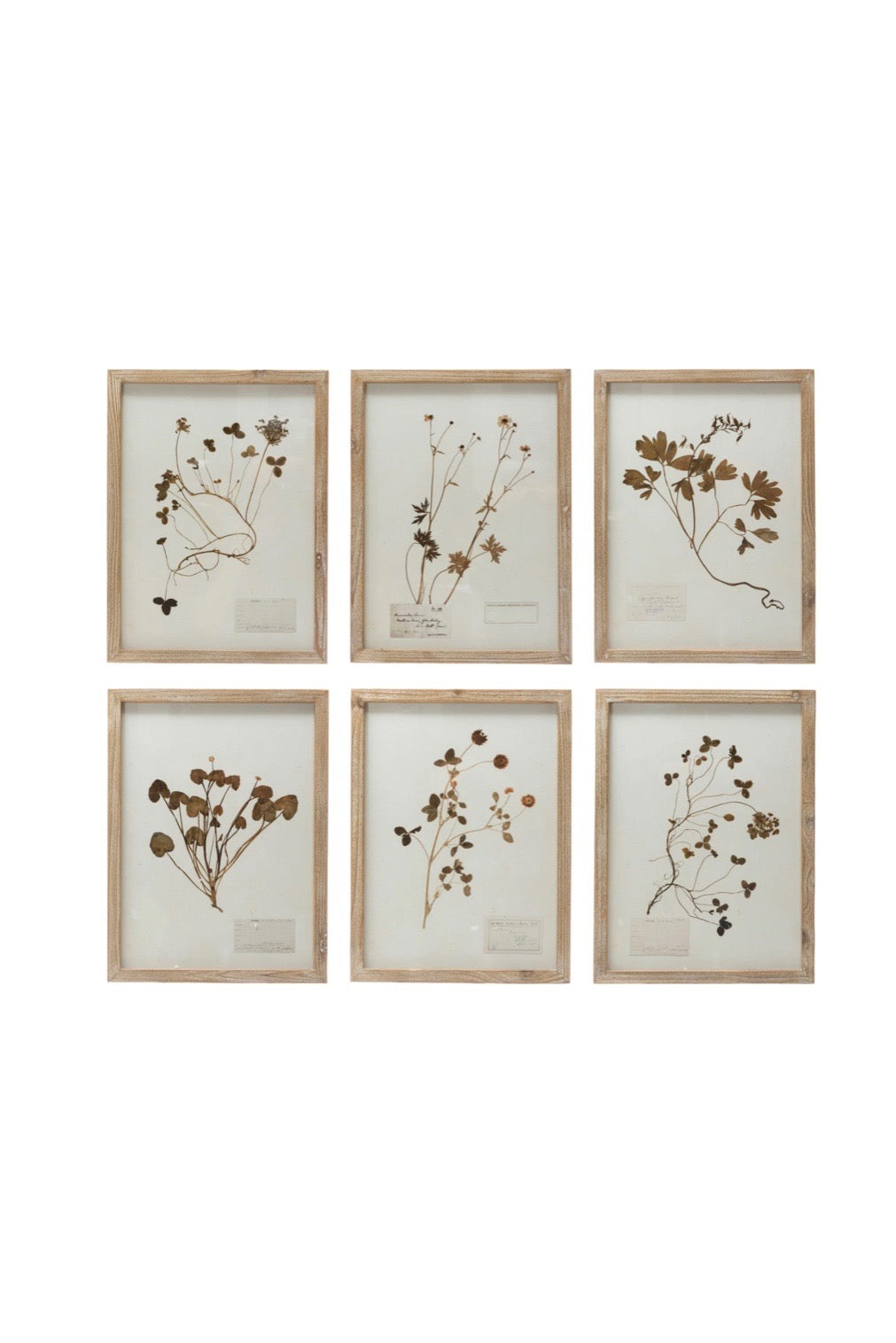 FRAMED BOTANICAL WALL DECOR
