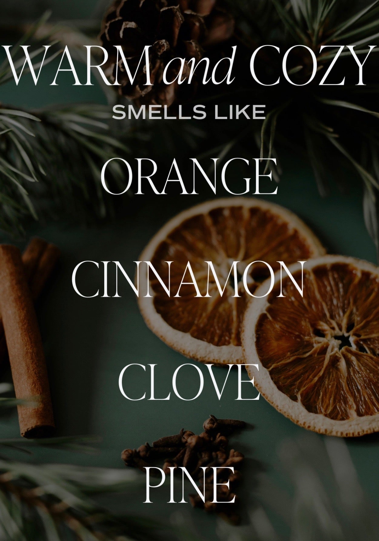 WARM AND COZY DIFFUSER