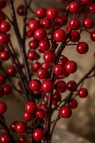 WINTER HOLLY BERRY BRANCH