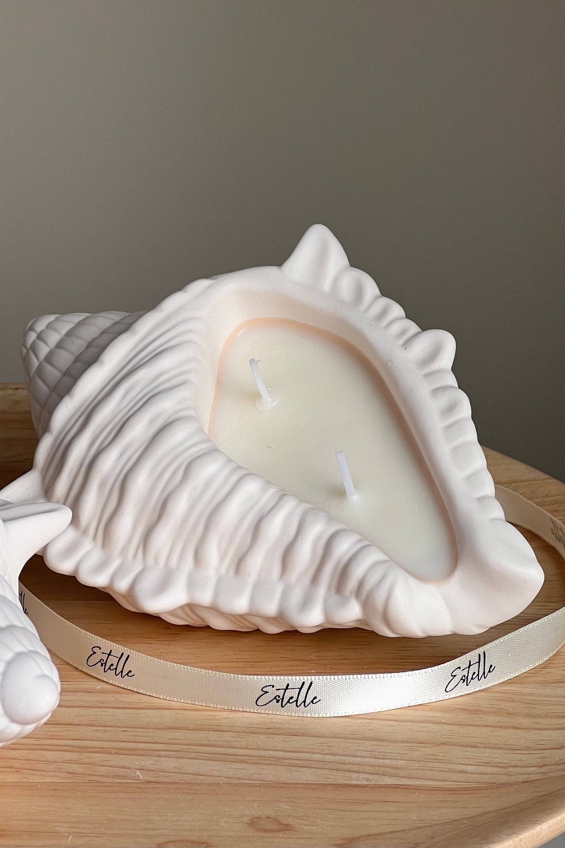 CONCH SHELL CANDLE-COCONUT & LIME
